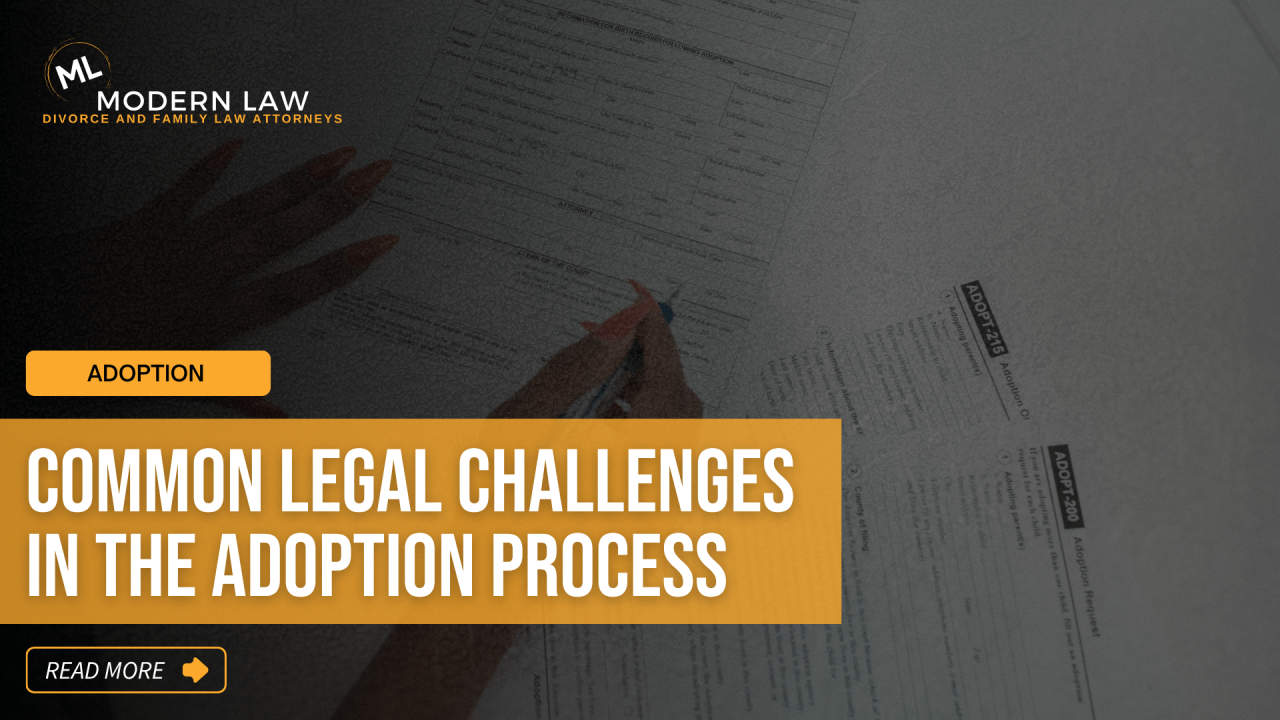Common Legal Issues During the Adoption Process Common Legal Issues During the Adoption Process
