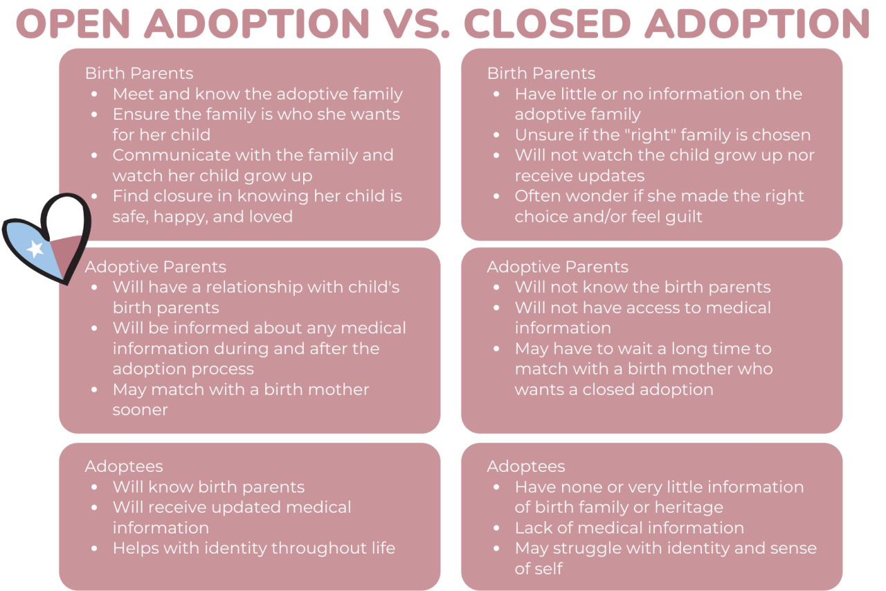 Private Adoption Agency in TX | | Birth Mother Adoption | Open Adoption Private Adoption Agency in TX | | Birth Mother Adoption | Open Adoption