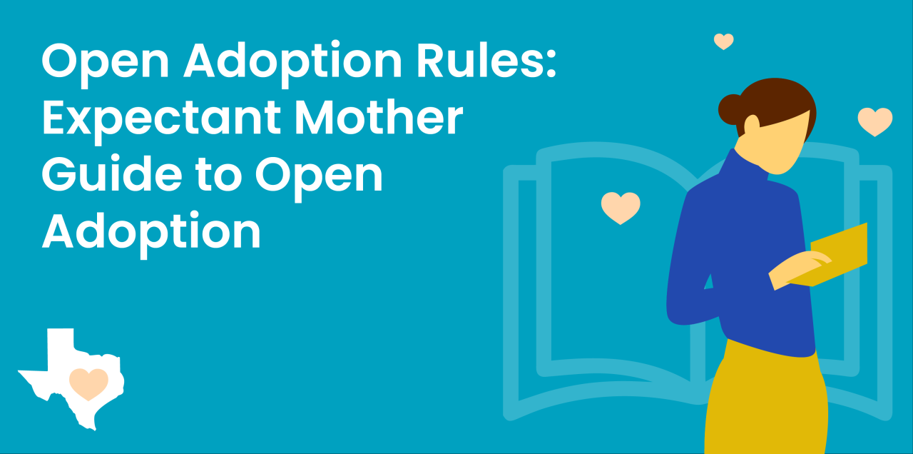 Open Adoption Rules | Texas Adoption Center Open Adoption Rules | Texas Adoption Center